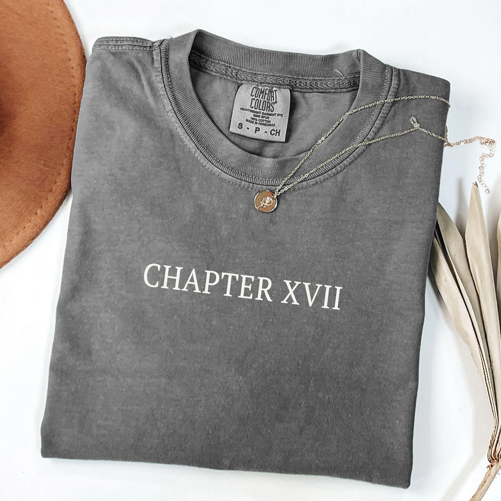 17th Birthday Shirt Chapter 17 Roman Numeral Shirt 17th Birthday Gift 17th Birthday Girl Shirt Gifts for 17 Year Old Teenage Girl Presents