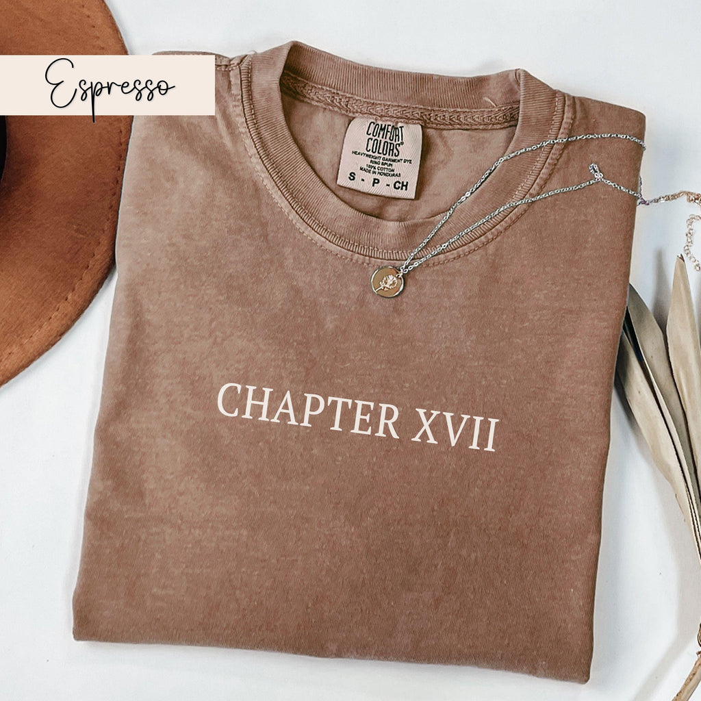 17th Birthday Shirt Chapter 17 Roman Numeral Shirt 17th Birthday Gift 17th Birthday Girl Shirt Gifts for 17 Year Old Teenage Girl Presents