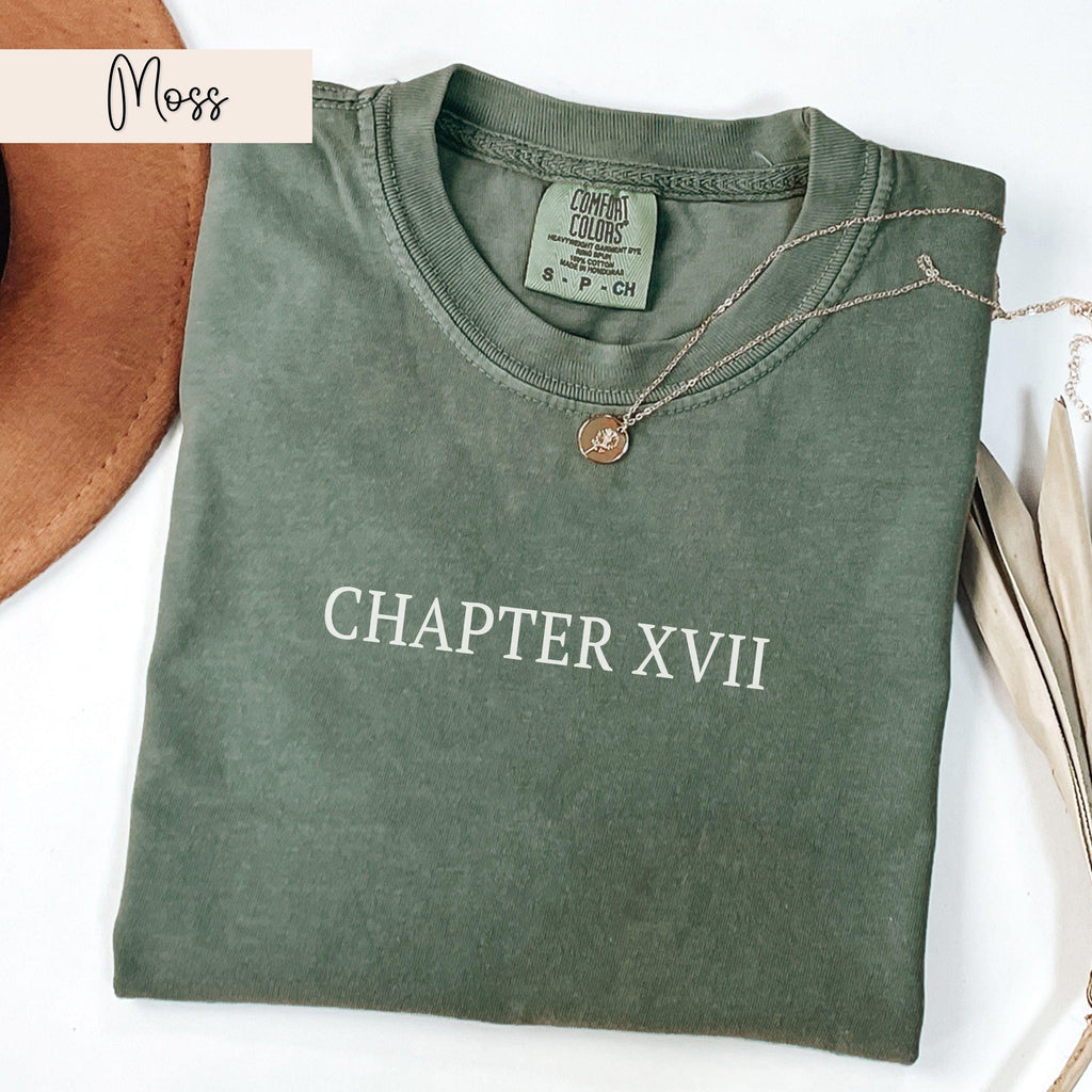 17th Birthday Shirt Chapter 17 Roman Numeral Shirt 17th Birthday Gift 17th Birthday Girl Shirt Gifts for 17 Year Old Teenage Girl Presents