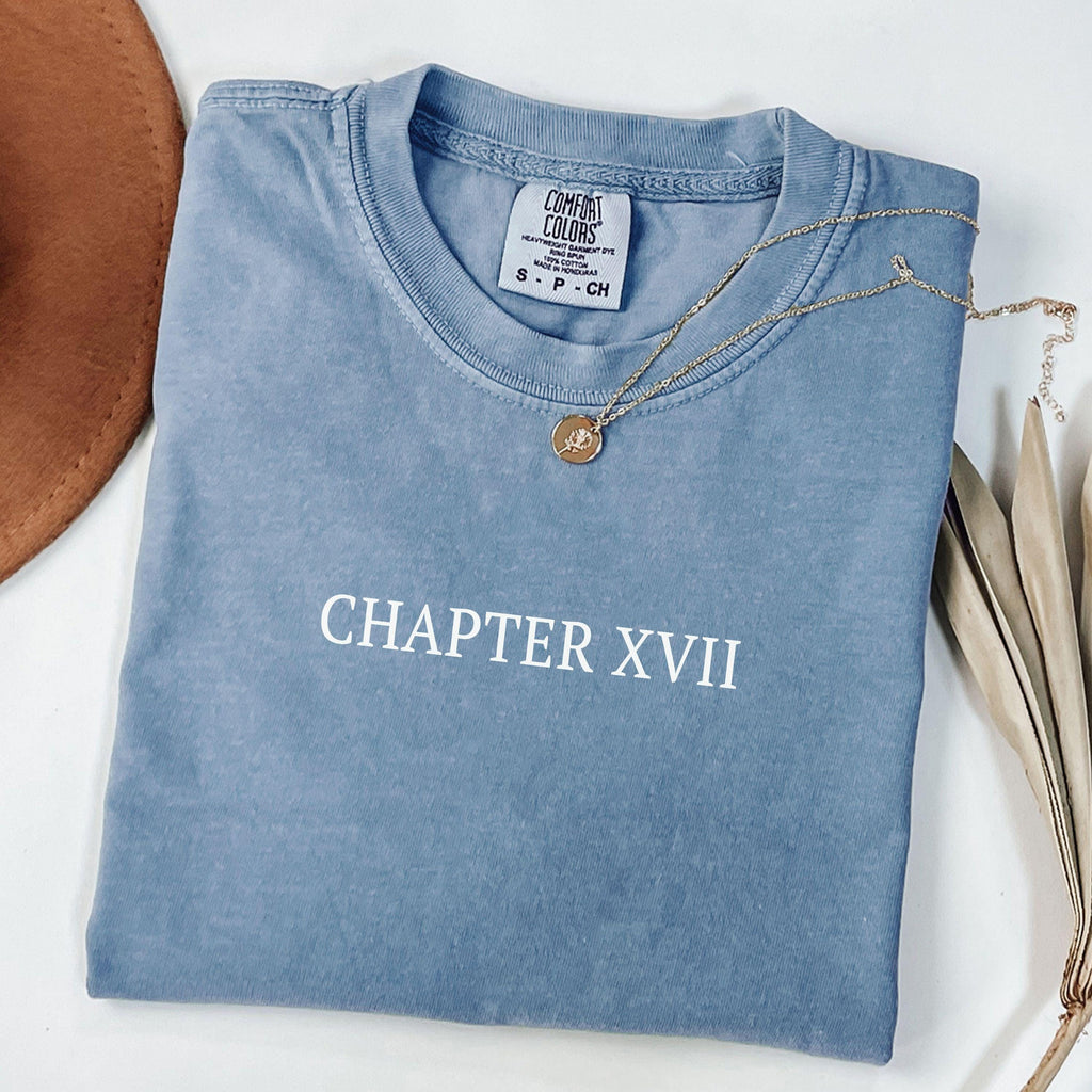 17th Birthday Shirt Chapter 17 Roman Numeral Shirt 17th Birthday Gift 17th Birthday Girl Shirt Gifts for 17 Year Old Teenage Girl Presents
